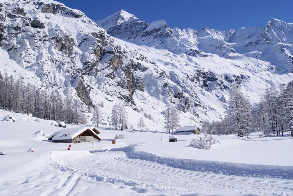 23 Praz De L'Ours Vallandry - Les Arcs Пезе-Нанкруа Экстерьер фото